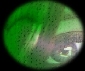Alyson's Eye